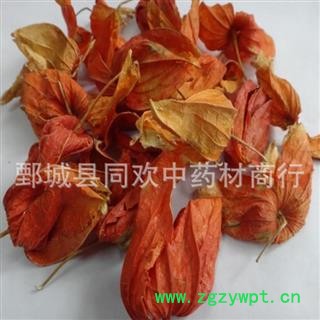 【锦灯笼好统货】@【同欢药材】中药材批发供应  规格齐全 量大从优  产地 吉林省图3