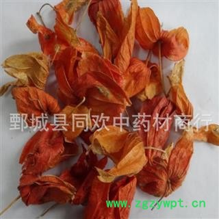 【锦灯笼好统货】@【同欢药材】中药材批发供应  规格齐全 量大从优  产地 吉林省图2