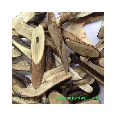 圣草康园南大青、南板蓝杆 新货