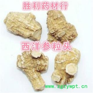 圣草康园 西洋参 西洋参粒头  8克粒 无硫  长白山西洋参粒头图2