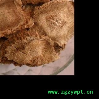 圣草康园 云木香 广木香 广香无添加图3