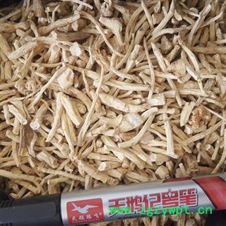 圣草康园西洋参小丁 统货今年新货图2