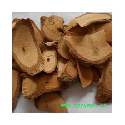 圣草康园中药材藤梨根猕猴桃根保证质量 有资质 开税票