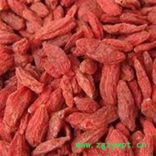 世元药业 枸杞子 新货 精选 苟起子 西枸杞 枸蹄子 杞果骨子 血枸子 枸杞豆 血杞子 津枸杞图2