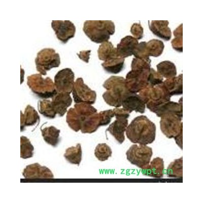 圣草康园中药材马甲子雄虎刺 铁菱角 白棘