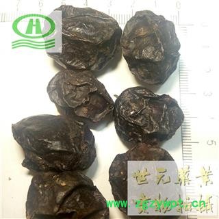 世元药业 广枣 正品 广栆 五眼果 山枣图2