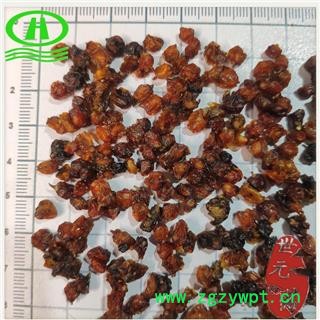 世元药业 新疆沙棘 精选 沙棘果 新疆正品含量高  可代茶饮图2