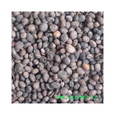 急性子 急性子统货 无杂质 质量好  产地 河南省