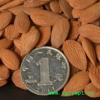 家桃仁 扁桃仁选货 个体饱满 颜色新鲜 香味浓郁  产地 山东省图2