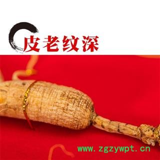 吉林长白山山参，人参，野山参，移山参支持七天无理由退换货 满980元包邮图3