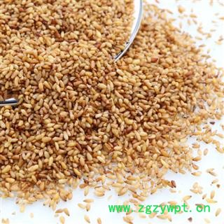 柏子仁 精品无硫 大粒净货 颜色好 产地 山东省图4