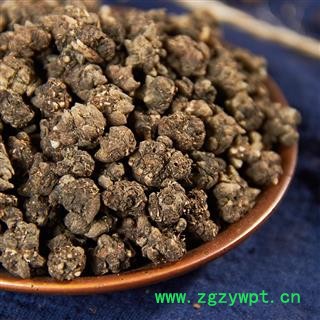 猫爪草 小毛茛 猫抓草  中草药图2