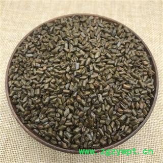 决明子 精选 炒决明子茶 颗粒饱满 香气浓郁 产地 山东省图2