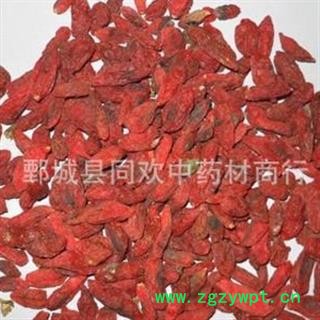 【药用枸杞子】@【同欢药材】中药材批发供应  规格齐全 量大从优  产地 宁夏回族自治区图2