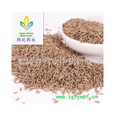 【孜然】@【同欢药材】中药材批发供应 规格齐全 量大从优 产地 广西壮族自治区