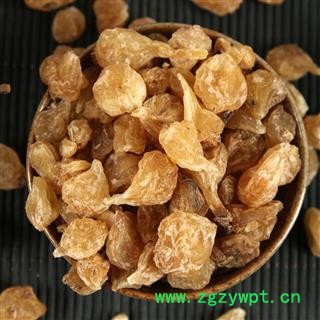 中药材薤白  薤白头 菜芝图2