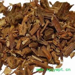 圣草康园独根草 栗当图2