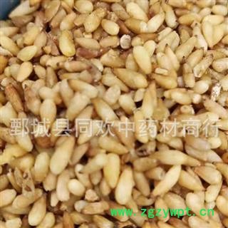 【正品选货净货柏子仁】@【同欢药材】中药材批发供应  规格齐全 量大从优  产地 山东省图2