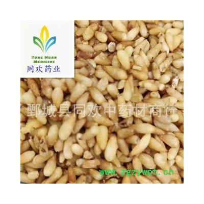 【正品选货净货柏子仁】@【同欢药材】中药材批发供应  规格齐全 量大从优  产地 山东省