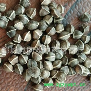 【中粒辣木籽】@【同欢药材】中药材批发供应  规格齐全 量大从优  产地 海外图3