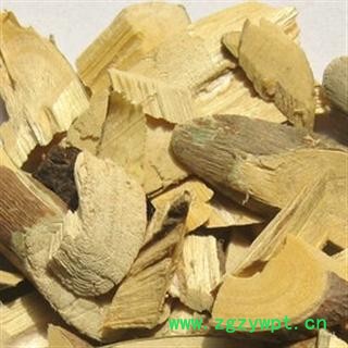 圣草康园五指毛桃 五爪龙 五指毛桃根 五猪母藤图2