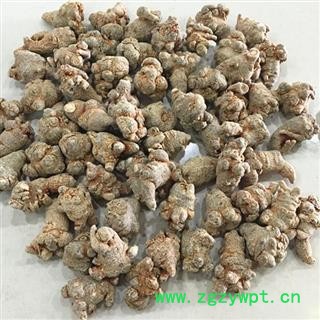 圣草康园45头水洗滑头 田七 水洗标准45头三七图2