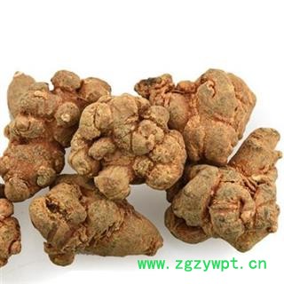 圣草康园45头水洗滑头 田七 水洗标准45头三七图3