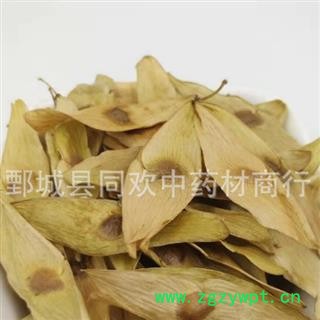 【凤眼草】@【同欢药材】中药材批发供应 产地 河北省  规格齐全 量大从优图3