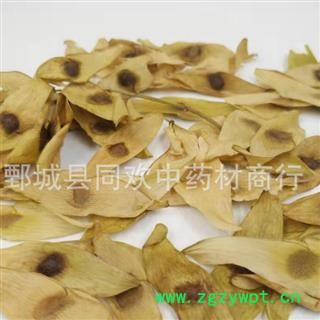 【凤眼草】@【同欢药材】中药材批发供应 产地 河北省  规格齐全 量大从优图2