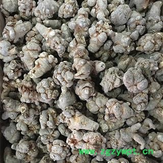 圣草康园水洗40头三七 田七 标准40头滑头不带剪口图2