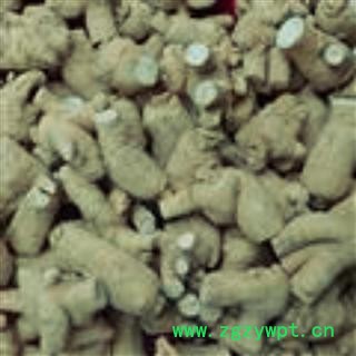 西洋参   西洋参圆粒20克圆粒图2