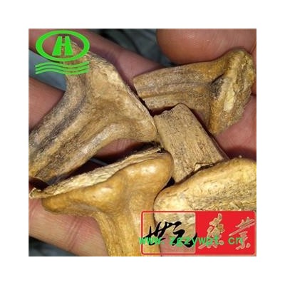 世元药业 南瓜蒂 南瓜柄 正品 优质