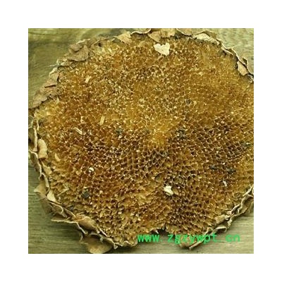 世元药业 向日葵花盘 新货 北方肉质花盘 质地厚