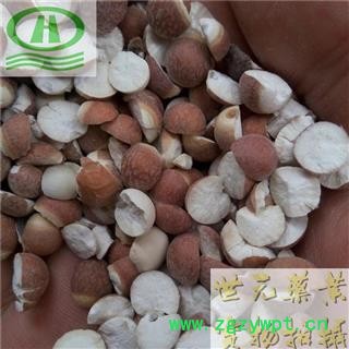 世元药业 芡实 大个肇实 别称-鸡头米 鸡头实 雁喙实 刀芡实 鸡头果 黄实图2