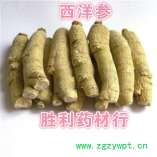 西洋参 西洋参长支长约8-10公分 直径1.5公分每支20克左右（500克25支）图2