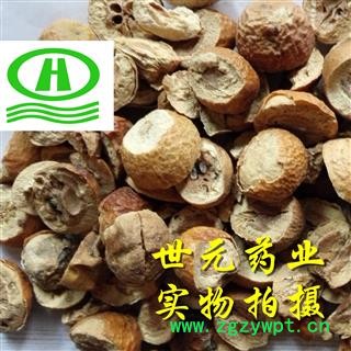 世元药业 川楝子 川莲子 楝实 金铃子 仁枣 苦楝子 楝子 石茱萸 川楝树子 川楝实【全品除尘中药】图2