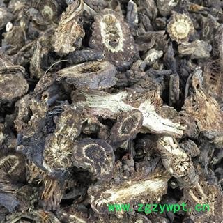 羌活 四川野生羌活统片 产地 四川省图2