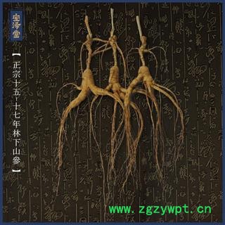 山参礼盒 人参礼盒 人参花 红参 白参图2