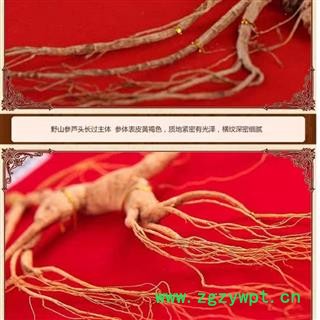 山参野山参礼盒款參形完整，25年參龄，參重约20克礼盒高档正规国检证书农业部图3