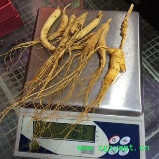 山参 林下山参 长白山人参 残肢 配药经济实惠图3