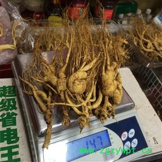 山参 林下山参 长白山人参 残肢 配药经济实惠图2