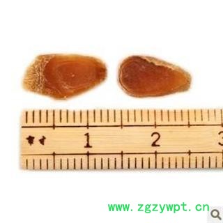 不含糖的红参片，无糖红参片，长白山人参片图3