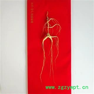 单只山参林下山参25年长白山人参单只重约15克图4