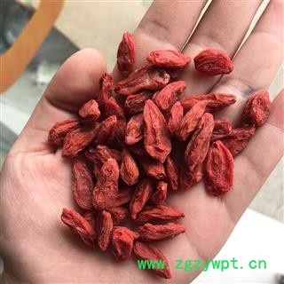 枸杞子 精选 新货 颗粒大颜色好 纯干   实图拍摄 质量保证图2