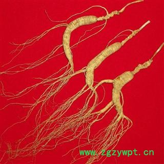 吉林长白山人参山参礼盒精美包装高档礼盒 支持七天无理由退换货  满980元包邮图3