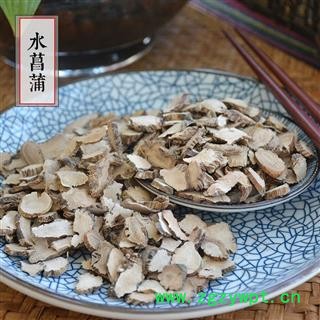 水菖蒲 干货散装 蒲剑 水八角草 泥昌 水宿 茎蒲图2