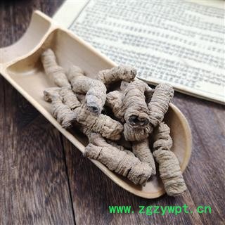 巴戟肉   巴戟肉 巴吉天 戟天巴戟泡酒料图2