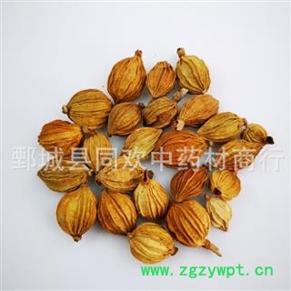 【香砂选货】@【同欢药材】中药材批发供应 规格齐全 量大从优  产地 广西壮族自治区图2