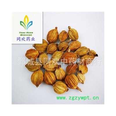 【香砂选货】@【同欢药材】中药材批发供应 规格齐全 量大从优  产地 广西壮族自治区