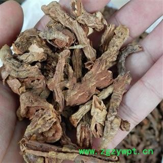 红药 山麒麟 麒麟竭 玉麒麟图2